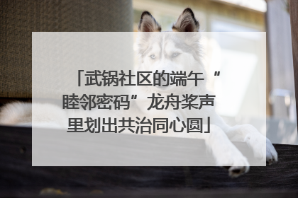 武锅社区的端午“睦邻密码”龙舟桨声里划出共治同心圆
