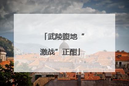 武陵腹地“激战”正酣