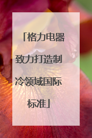 格力电器致力打造制冷领域国际标准