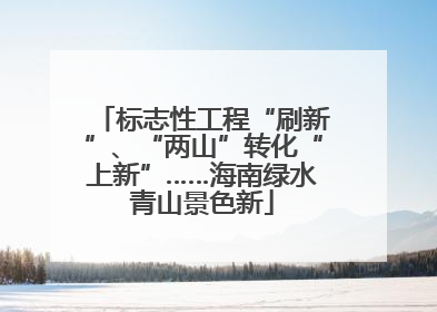 标志性工程“刷新”、“两山”转化“上新”……海南绿水青山景色新
