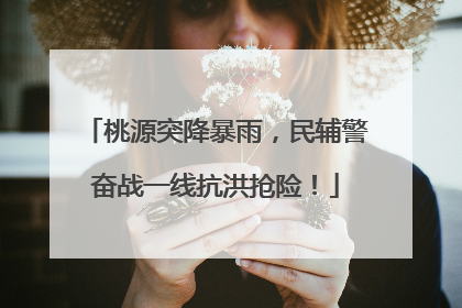 桃源突降暴雨，民辅警奋战一线抗洪抢险！