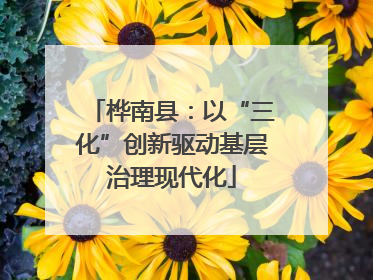 桦南县：以“三化”创新驱动基层治理现代化