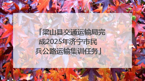 梁山县交通运输局完成2025年济宁市民兵公路运输集训任务