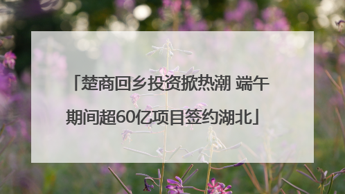 楚商回乡投资掀热潮 端午期间超60亿项目签约湖北
