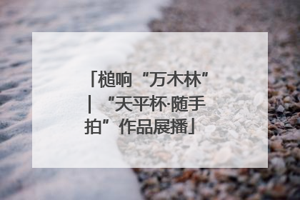 槌响“万木林”｜“天平杯·随手拍”作品展播