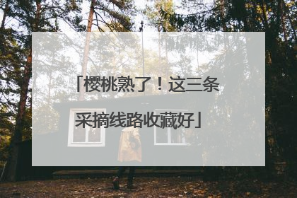 樱桃熟了！这三条采摘线路收藏好
