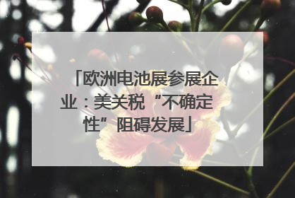 欧洲电池展参展企业：美关税“不确定性”阻碍发展