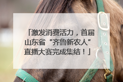 激发消费活力，首届山东省“齐鲁新农人”直播大赛完成集结！