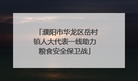 濮阳市华龙区岳村镇人大代表一线助力粮食安全保卫战