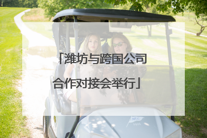 潍坊与跨国公司合作对接会举行