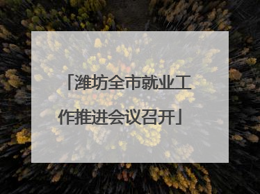 潍坊全市就业工作推进会议召开