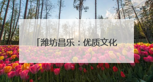 潍坊昌乐：优质文化资源下沉文化书院