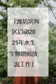 潍坊滨海区启动2025年水生生物增殖放流工作