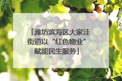 潍坊滨海区大家洼街道以“红色物业”赋能民生服务