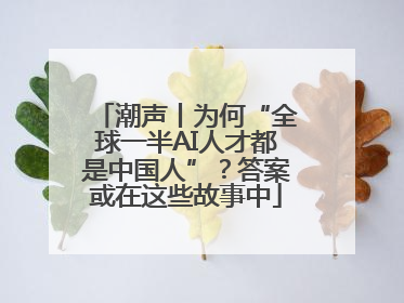 潮声丨为何“全球一半AI人才都是中国人”？答案或在这些故事中