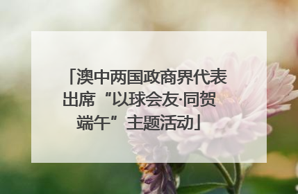 澳中两国政商界代表出席“以球会友·同贺端午”主题活动