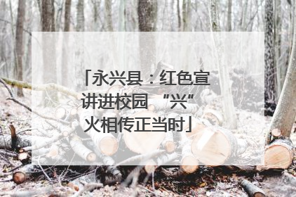 永兴县：红色宣讲进校园 “兴”火相传正当时