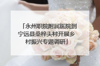 永州职院附属医院到宁远县桑梓头村开展乡村振兴专题调研