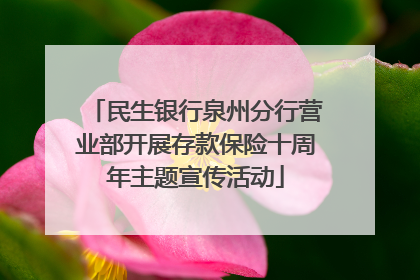 民生银行泉州分行营业部开展存款保险十周年主题宣传活动