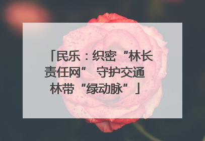 民乐：织密“林长责任网” 守护交通林带“绿动脉”
