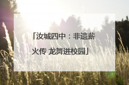 汝城四中：非遗薪火传 龙舞进校园