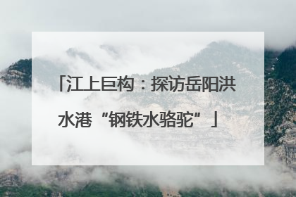 江上巨构：探访岳阳洪水港“钢铁水骆驼”