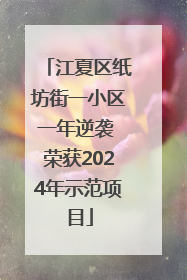 江夏区纸坊街一小区一年逆袭 荣获2024年示范项目