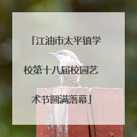 江油市太平镇学校第十八届校园艺术节圆满落幕