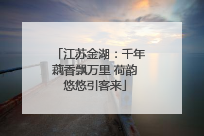 江苏金湖：千年藕香飘万里 荷韵悠悠引客来