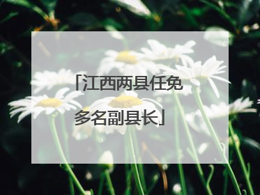 江西两县任免多名副县长
