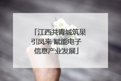 江西共青城筑巢引凤来 赋能电子信息产业发展