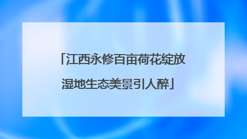 江西永修百亩荷花绽放 湿地生态美景引人醉