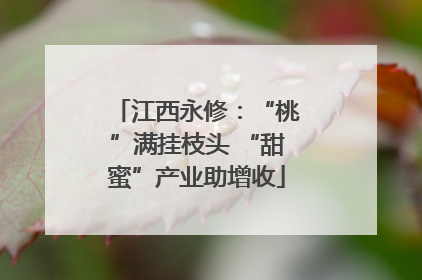 江西永修：“桃”满挂枝头 “甜蜜”产业助增收