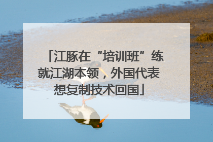江豚在“培训班”练就江湖本领，外国代表想复制技术回国
