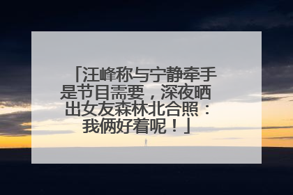 汪峰称与宁静牵手是节目需要，深夜晒出女友森林北合照：我俩好着呢！