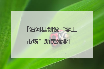 沿河县创设“零工市场”助民就业