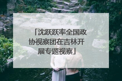 沈跃跃率全国政协视察团在吉林开展专题视察