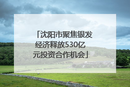 沈阳市聚焦银发经济释放530亿元投资合作机会