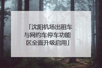 沈阳机场出租车与网约车停车功能区全面升级启用