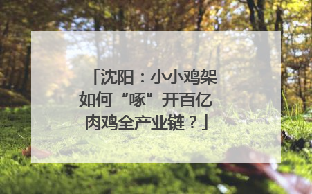 沈阳：小小鸡架如何“啄”开百亿肉鸡全产业链？
