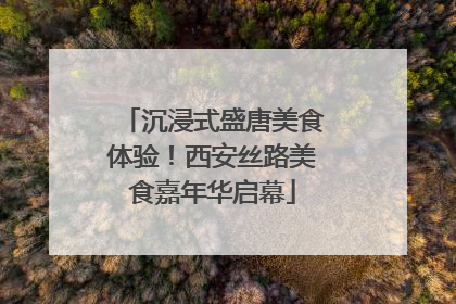 沉浸式盛唐美食体验！西安丝路美食嘉年华启幕
