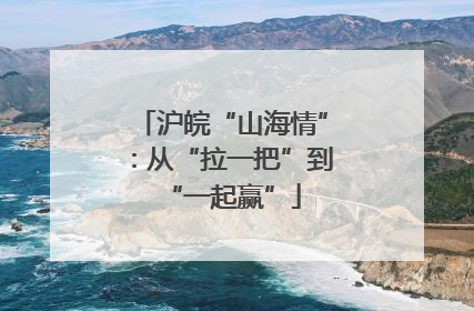 沪皖“山海情”：从“拉一把”到“一起赢”