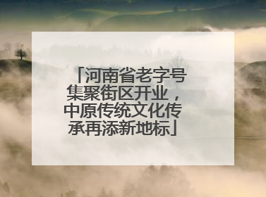 河南省老字号集聚街区开业，中原传统文化传承再添新地标
