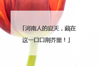 河南人的夏天，藏在这一口口荆芥里！