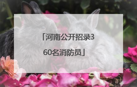 河南公开招录360名消防员