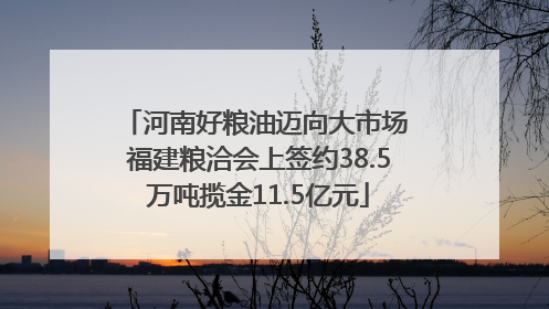 河南好粮油迈向大市场 福建粮洽会上签约38.5万吨揽金11.5亿元