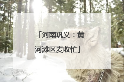 河南巩义：黄河滩区麦收忙