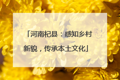 河南杞县：感知乡村新貌，传承本土文化