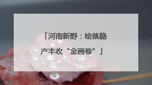 河南新野：绘就稳产丰收“金画卷”