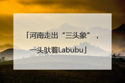 河南走出“三头象”，一头驮着Labubu